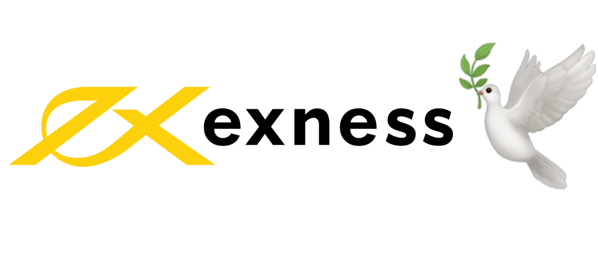 Exness Review ForexBrokerz Comprehensive Insights on a Leading Forex Broker