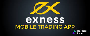 Unlocking Opportunities with the Exness Partner Program 8